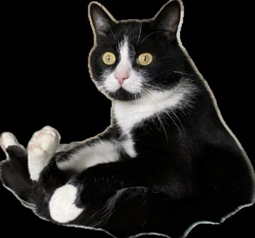 Белка (Алекс)