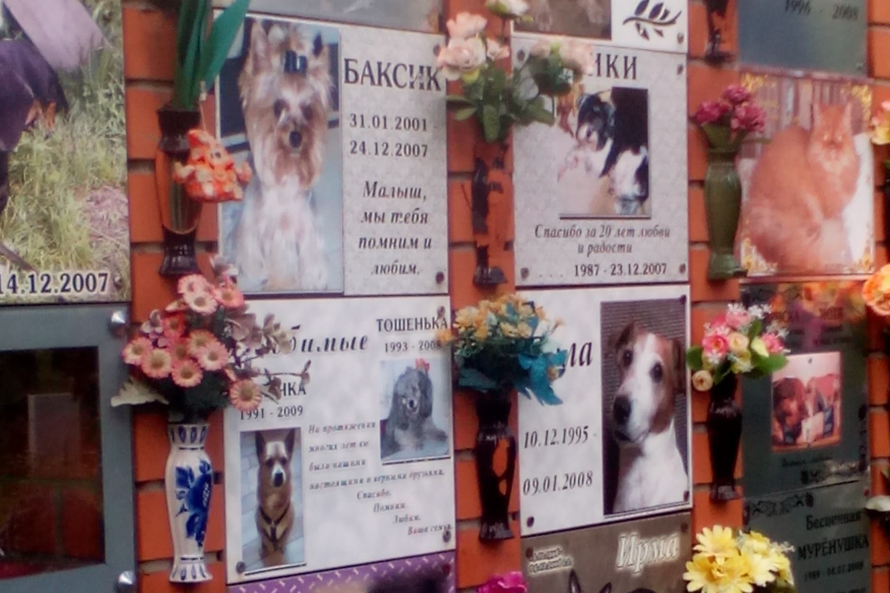 Разрешение администрации кладбища